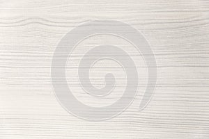 Wood texture. Wood texture for design and decoration. Color white, milk. Fine texture, pattern. Bleached wood. White background