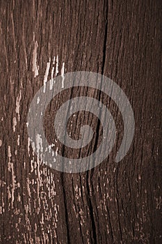 Wood texture wooden background from old boards. top view