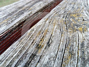 Wood texture. A wooden bench. Moss and lichens on the surface. Cracks on the log. The product of the boards. Moisture on wood