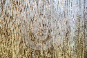 Wood textured background for design