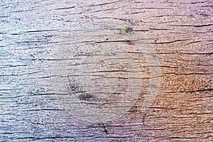 Wood textured background for design and all inspirations creative