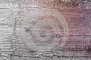 Wood textured background for design and all inspirations creative