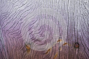 Wood textured background for design and all inspirations creative photo