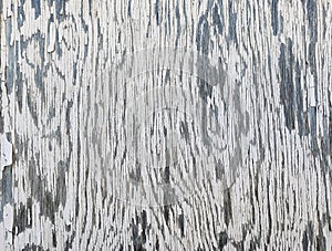 Wood textures and background