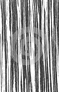 Wood textures. Black white  stripes   background. EPS8 vector. Wood grain vector.