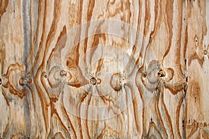 Wood textures photo