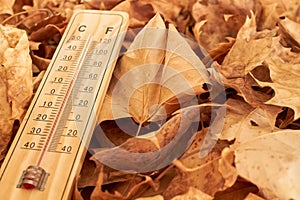 Wood thermometer in a background of fallen leafs