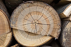 Wood timber construction material for background and texture. close up. abstract background. small depth of field.