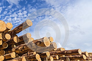 Wood timber construction material for background and texture.. Timber. Summer, blue sky. Raw. Industries