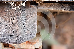 Wood timber construction material Stock in warehouse