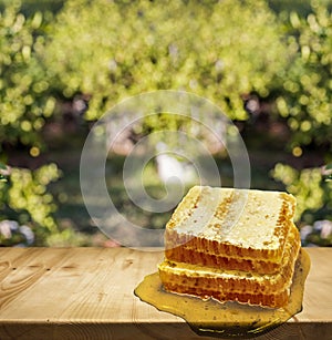 Wood top table and green garden bokeh background