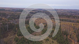 Wood and trees in autumn, aerial view, Canada. Clip. Helicopter view of an endless woodland with beautiful colors during