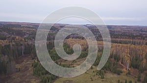 Wood and trees in autumn, aerial view, Canada. Clip. Helicopter view of an endless woodland with beautiful colors during