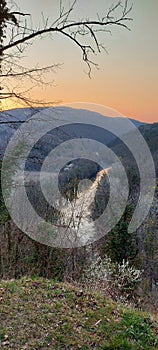 Wood trees tree river mountain