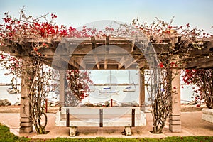 Wood Trellis flowers San Diego Waterfront