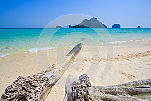 Wood on the tropical beach in Thailand