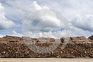 Wood trunks piled stacked outside with a blue sky above patio wood drying