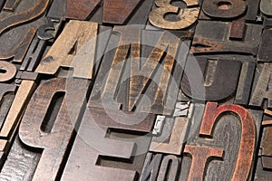 Wood type 4