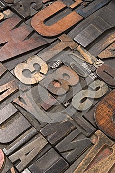 Wood type 5