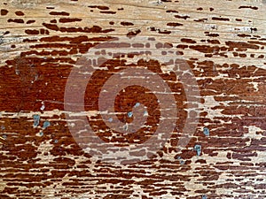 Wood uneven shabby texture.  cracked planks background