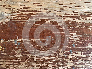 Wood uneven shabby texture. cracked planks background