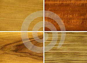 Wood, veneer: anegri, makore, teak, zebrano photo