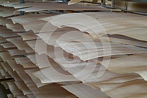 Wood veneer for plywood production