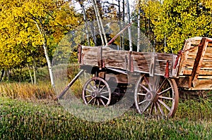 Wood wagon with Aspens