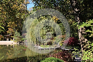 A wood walking path over a lake surrounded by a variety of trees in the fall at Anderson Japanese Garden in IL