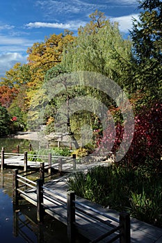 A wood walking path over a lake surrounded by a variety of trees and plants in the fall at Anderson Japanese Garden