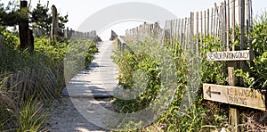 Wood walkway layed down on top of sand dunes leading to the beaches of Fire Island New York