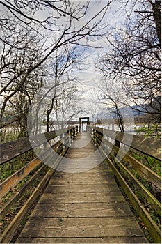 Wood Walkway to Moorage photo