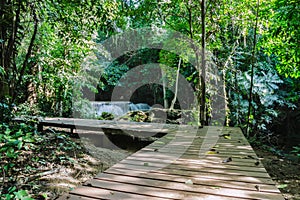 Wood walkway on a wild park