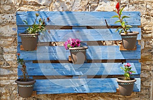 The wood wall decoration with flower pots. Cyprus
