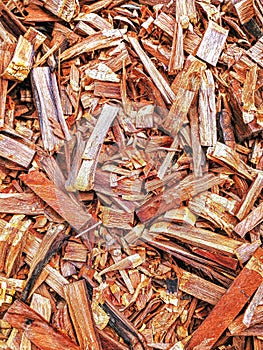 wood waste that looks abstract