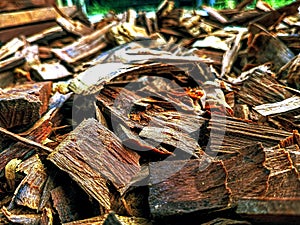 Wood waste is very useful for purposes photo