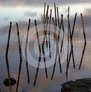 Wood in the water.