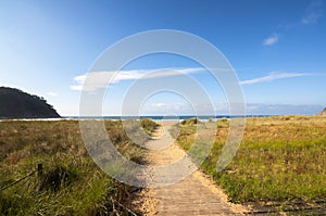 Wood way in Rodiles beach