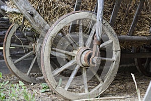Wood Wheels of straw transportin retro cariage