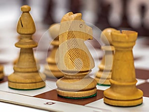 Wood white chess pieces standing on the chess board. Chess knight, bishop and rook. Close-up. Selective focus