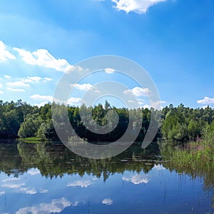 Wood and white clouds in the blue sky reflected in the mirrored water