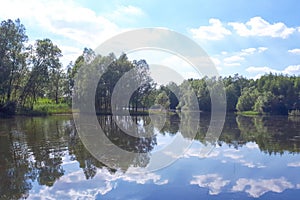 Wood and white clouds in the blue sky reflected in the mirrored water