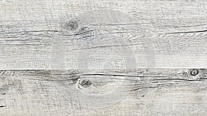 Wood white texture wall gray wooden background with old painted grey boards wallpaper