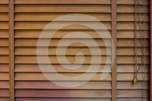 Wood Window shutters, texture of jalousie