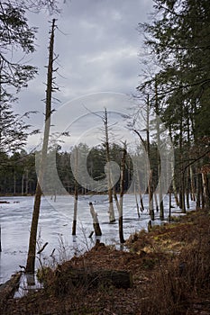 The Woodbourne Forest and Wildlife Preserve covers 648 acres just south of Montrose, Pennsylvania