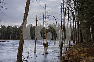 The Woodbourne Forest and Wildlife Preserve covers 648 acres just south of Montrose, Pennsylvania