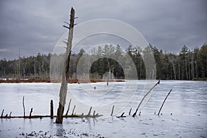 The Woodbourne Forest and Wildlife Preserve covers 648 acres just south of Montrose, Pennsylvania