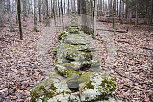 The Woodbourne Forest and Wildlife Preserve covers 648 acres just south of Montrose, Pennsylvania