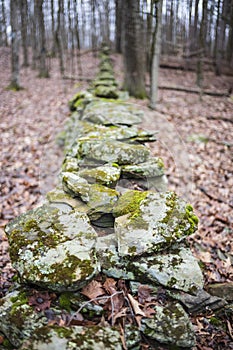 The Woodbourne Forest and Wildlife Preserve covers 648 acres just south of Montrose, Pennsylvania