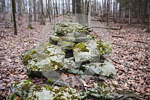 The Woodbourne Forest and Wildlife Preserve covers 648 acres just south of Montrose, Pennsylvania